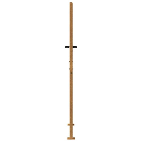 Градинска порта 100x200 см, кортенова стомана