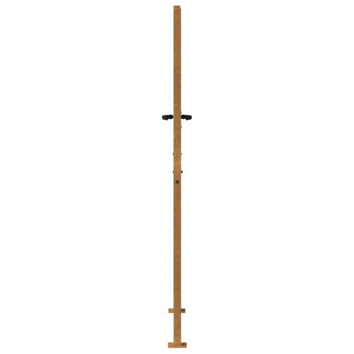 Градинска порта 100x200 см, кортенова стомана