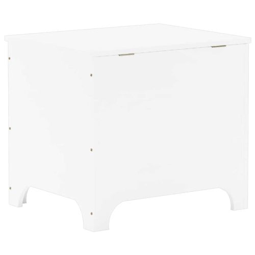 Сандък за съхранение с капак RANA, бял, 60x49x54 см, бор масив