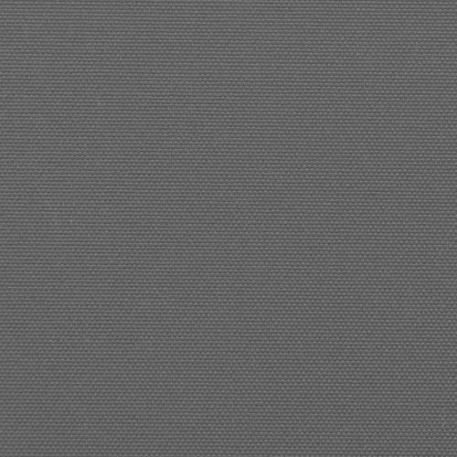 Прибираща се странична тента, антрацит, 220x600 см