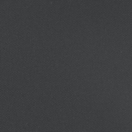 Прибираща се странична тента, черна, 220x1200 см