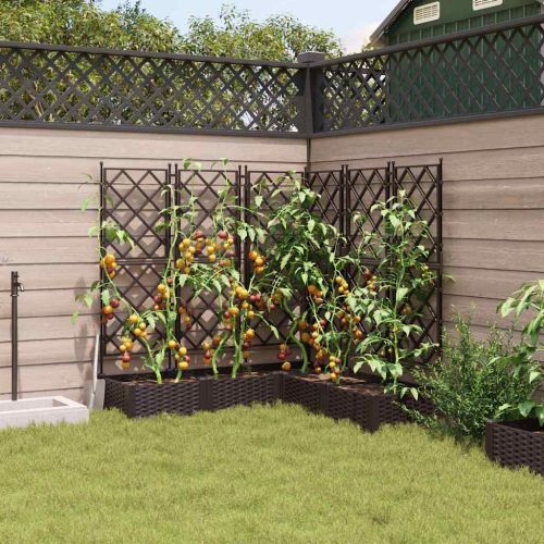 Градинска саксия 5 pcs Кафяво 120 x 120 x 125,5 см Пластмаса