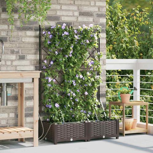 Градинска саксия 2 pcs Кафяво 80 x 40 x 126 см Пластмаса