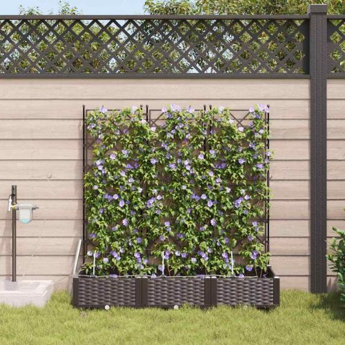 Градинска саксия 3 pcs Кафяво 120 x 40 x 126 см Пластмаса