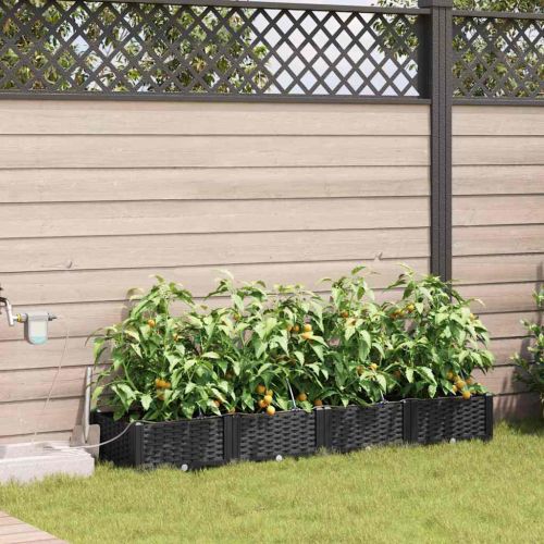 Градинска саксия 4 pcs Черен 160 x 40 x 22 см Пластмаса
