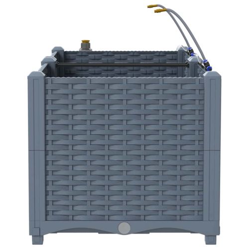 Градинска саксия 2 pcs Светло сиво 80 x 40 x 37,5 см Пластмаса