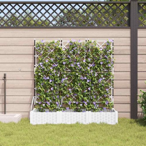 Градинска саксия 3 pcs Бял 120 x 40 x 125,5 см Пластмаса