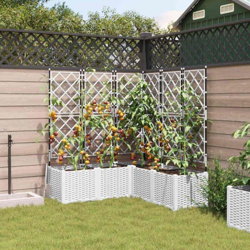 Градинска саксия 5 pcs Бял 120 x 120 x 143 см Пластмаса