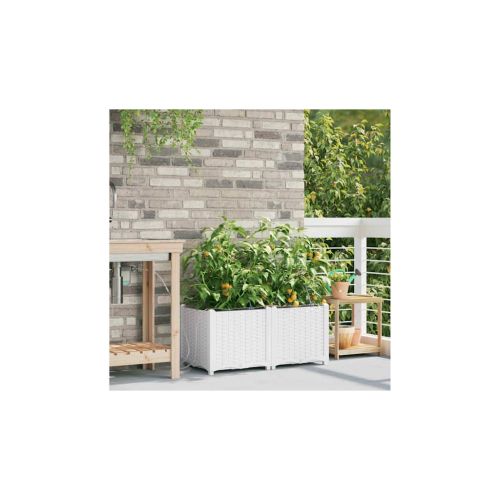 Градинска саксия 2 pcs Бял 80 x 40 x 37,5 см Пластмаса