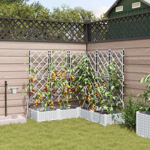 Градинска саксия 5 pcs Бял 120 x 120 x 126 см Пластмаса