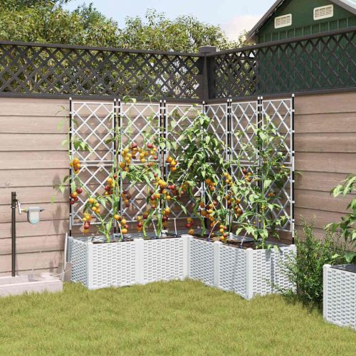 Градинска саксия 5 pcs Бял 120 x 120 x 142 см Пластмаса
