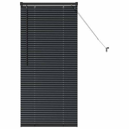 Вертикални щори Черно 60 x 2,5 x 130 см Алуминий